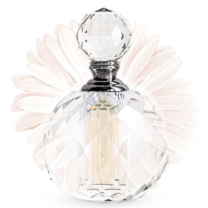 Ladies’ Fragrance